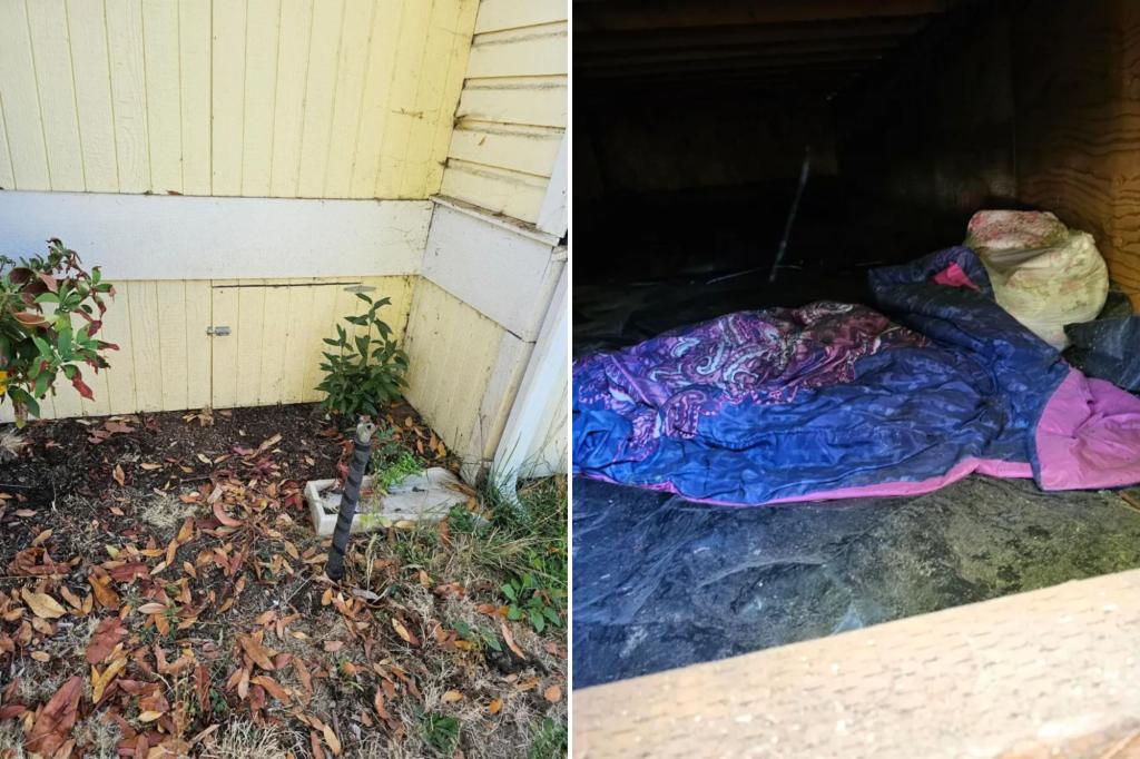 I found a stranger sleeping under my house - and then I confronted him